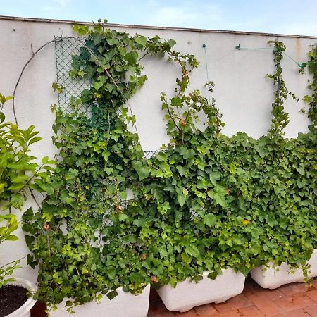 Atico Isaac Albeniz Apartment Ла Пинеда Екстериор снимка