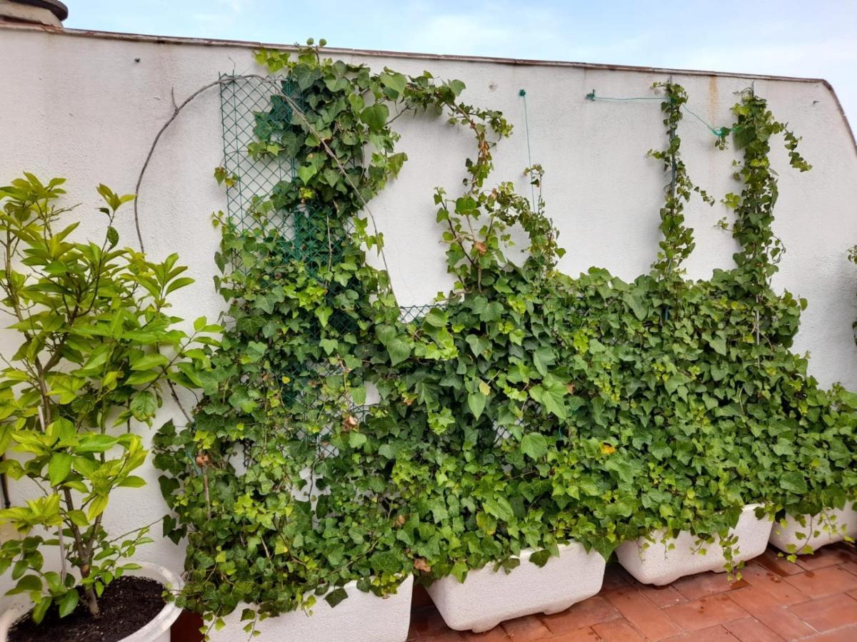 Atico Isaac Albeniz Apartment Ла Пинеда Екстериор снимка