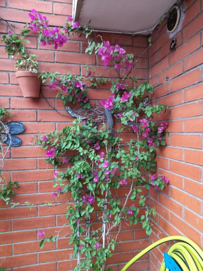 Atico Isaac Albeniz Apartment Ла Пинеда Екстериор снимка